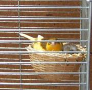 Speedy und Eddi